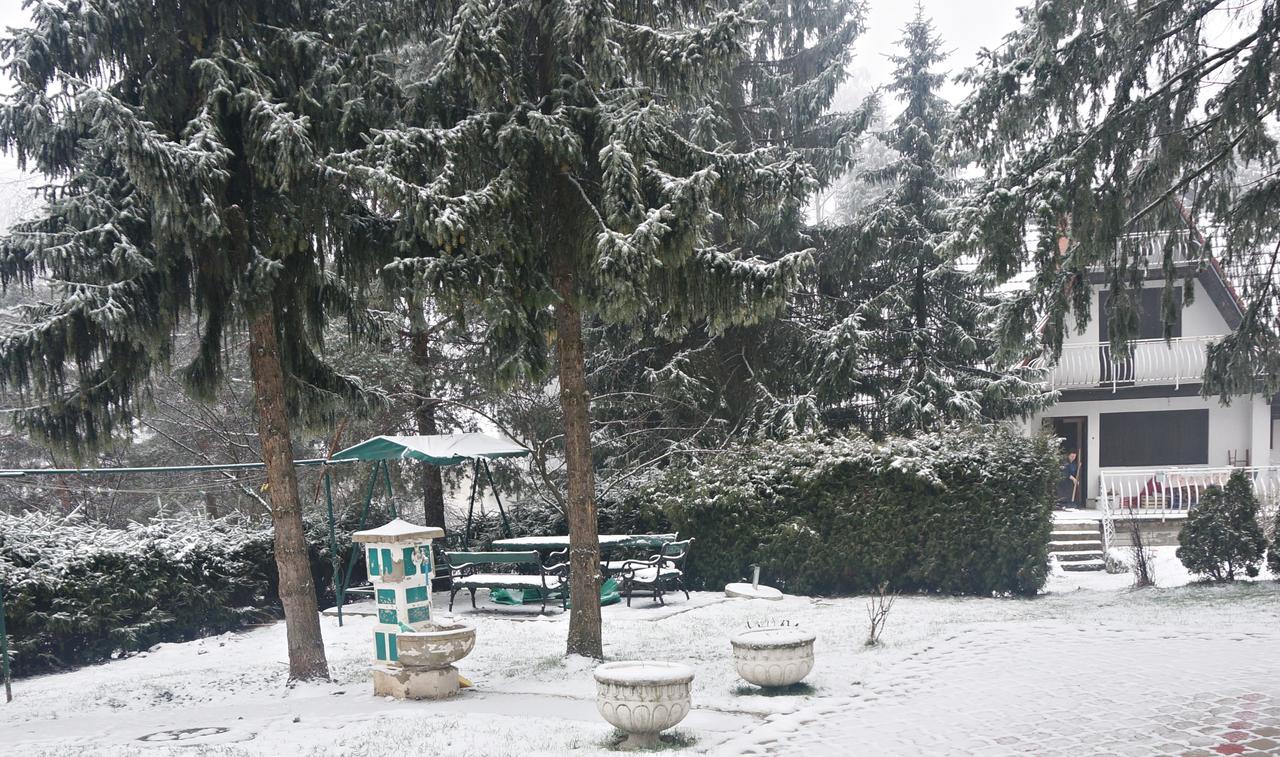 Apartment Kamencic Zlatibor Extérieur photo